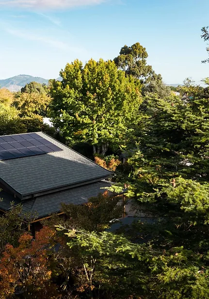 Coated_Stone_Metal_Roof__03.jpg